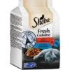 Sheba Fresh Cuisine 36x50g Taste Of Paris -ROYAL CANIN Verkaufsgeschäft 00045d4d4a2313bc45e4d34ebd1b6104f8127a36 9b65a4bc2f1a07f23dfab76bad3283fa55d05f28