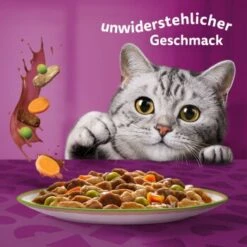 Whiskas Tasty Mix Multipack Chef's Choice In Sauce 60 X 85g -ROYAL CANIN Verkaufsgeschäft 00442002c36da7f8b13802a1093e87c1e37cdc7c 1410719 de DE Whiskas 6