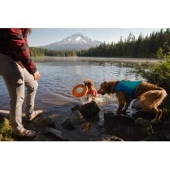 Ruffwear Hydro Plane™ Spielzeug M Orange -ROYAL CANIN Verkaufsgeschäft 006b8682fcf44b40a786d55bd2f1d1cf7f91a7a7 1364300 de DE b9c71d828876a94633bfda1055d03e137f81043ehPprdP