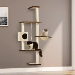 Silvio Design Wandkratzbaum Mabel -ROYAL CANIN Verkaufsgeschäft 00d394709fdae2fe14716fa5745b36c74ff03f54 cc5b403e8381af2309c72762799eeee1ad8c4563