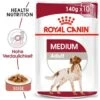 ROYAL CANIN MEDIUM Adult 10x140g -ROYAL CANIN Verkaufsgeschäft 011129d53ae2cf1e63100d14aac0a6b593c0c5a8 1381073 de DE RC Nassfutter Adult