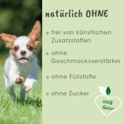 ArthroGreen Junior 25 G -ROYAL CANIN Verkaufsgeschäft 013d32f1d253838d1efc9de0f8c454f921526ea1 1674241 de DE 833c41f64e49fb0cf3ea1fa970839416ee330fd2KA770O