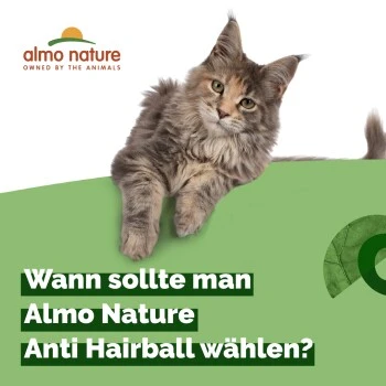 Almo Nature Almo Holistic Anti-Hairball 30x70g Mit Huhn 6 Almo Nature Almo Holistic Anti-Hairball 30x70g Mit Huhn – Bild 4