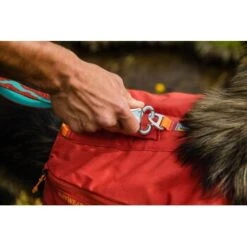 Ruffwear Front Range™ Hundetagesrucksack Rot XS 21 Ruffwear Front Range™ Hundetagesrucksack Rot XS -ROYAL CANIN Verkaufsgeschäft 0278df20b3c931a8d81473a73df560cd9a7e5ecc 1639836 de DE d12d06915083acd2988c3ee49c4ae10ac87bddde5qBgCI
