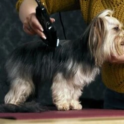 Moser Schermaschine Typ 1400 -ROYAL CANIN Verkaufsgeschäft 02df9a45ad10057f7cdfbb122412b44ddb24fd91 7c7f90f149fd71377858189c53a8f5cca4170f60