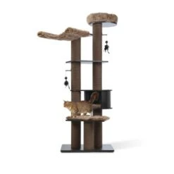 MORE Kratzbaum Harry -ROYAL CANIN Verkaufsgeschäft 03d4a0e8370f4119639c673d4fe5311683174e29 d6bfc879981313dc7845c0ef9e5085d030ad10fc