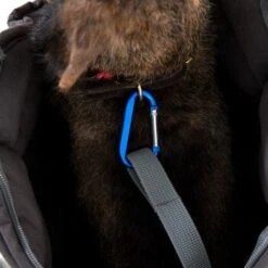 Doctor Bark Hundetragetasche Grau M -ROYAL CANIN Verkaufsgeschäft 03f00f317766866df9758788ab4f17529834208e 8a36e572228f667afc46c66ada064da9d5cd2b75