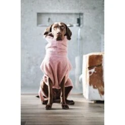 Lills Lill's Hundebademantel "Pink Berry" 35 Cm -ROYAL CANIN Verkaufsgeschäft 04a74783d50cdc98002051c351bf7a8a33cd1745 1349655 de DE 212dae4af17564ba144b7af1fd42f4b436426636rEvFkh