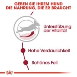 ROYAL CANIN Medium Adult 7+ 15 Kg -ROYAL CANIN Verkaufsgeschäft 04eb7d87df5b684583bdb34b9dbb8b3c747a2f15 46665ad1d925e10f5abd0570b28093678ef21e27