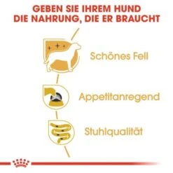 ROYAL CANIN Yorkshire Terrier Adult Mousse 12x85g -ROYAL CANIN Verkaufsgeschäft 054ec85744f29bb9af1fb84fb28e4adbe5099539 1239182 de DE rc 2