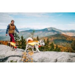 Ruffwear Lumenglow™ High-Vis Hundejacke Orange XL -ROYAL CANIN Verkaufsgeschäft 055f8ec457e40b7d33e9c275c20ea79bae1e006a 1378153 de DE e8b1f6094bc39d07bc90bd4fe7fc0806cf22bedaBId7iB