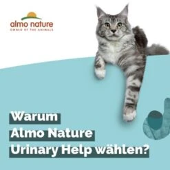 Almo Nature Almo Holistic Urinary Help 30x70g Mit Fisch 9 Almo Nature Almo Holistic Urinary Help 30x70g Mit Fisch -ROYAL CANIN Verkaufsgeschäft 060c8767b8c7969b21cac8aabe9818c799d04626 1479698 2 de