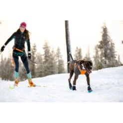 Ruffwear Cloud Chaser™ Hundejacke Schwarz XXS 22 Ruffwear Cloud Chaser™ Hundejacke Schwarz XXS -ROYAL CANIN Verkaufsgeschäft 06cfa3a745821d84428a1de78da0089ce33c0271 1369623 de DE 87163fc3e147e303fdf97d4ab87fd720c4f34a96nSWmMF