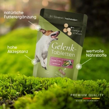 Pawlie's Gelenk Fit Tabletten Hund (100 Stück) 4 Pawlie's Gelenk Fit Tabletten Hund (100 Stück) – Bild 2
