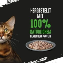 CRAVE Multipack Mit Huhn Und Mit Thunfisch 60 X 85g 10 CRAVE Multipack Mit Huhn Und Mit Thunfisch 60 X 85g -ROYAL CANIN Verkaufsgeschäft 06f06c34719f87998a7687bec7b9a7b922c28a30 1390281 de DE crave multipack huhn thunfisch 3