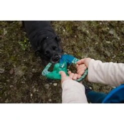 Ruffwear Pacific Ring™ Spielzeug Blau/ Türkis -ROYAL CANIN Verkaufsgeschäft 07365c8c03348a7be23ff66a31807695c41eac94 1444351 de DE bb2133baab48cb1d262b89fa47f175638eb3f7fcb9JpcH