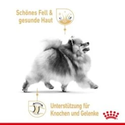 ROYAL CANIN BHN Pomeranian 1,5 Kg -ROYAL CANIN Verkaufsgeschäft 076a82e5533098ce72fdf62baa0bc25ecc22754f 1379878 3