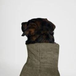 THE DOG IDEA Bademantel Every Khaki XXXS -ROYAL CANIN Verkaufsgeschäft 08d4ec498c585cdadfada6a4c3297d6f4c28d816 1473018 de DE 537902d50a13ec441ccfea84817fdb2f9ffb8d39pqXbmK