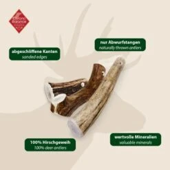 ChronoBalance Rothirsch Geweihstange Ganze Und Runde Stücke 300 G -ROYAL CANIN Verkaufsgeschäft 08e6e76c5c3e8863d054d54fbc69325510bb6eb3 1409643 de DE 97f6faa2e066481717c6e9970bb381a3824303b8rqJ9OV