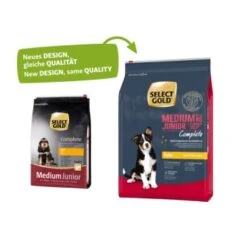 SELECT GOLD Complete Medium Junior Huhn 4 Kg -ROYAL CANIN Verkaufsgeschäft 0918967bbe2c3501c22acdfca0fa259a745f8c9f 1001478006 1