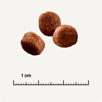 SELECT GOLD Digestion Senior Geflügel Und Reis 2,5kg 7 SELECT GOLD Digestion Senior Geflügel Und Reis 2,5kg – Bild 5