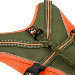 Dogs Creek Sicherheitsgeschirr Revolution S -ROYAL CANIN Verkaufsgeschäft 0a0dbbc5dd46a01b17e0b46d03593baade21f17d 1396873 2