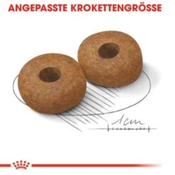 ROYAL CANIN Medium Ageing 10+ 15 Kg -ROYAL CANIN Verkaufsgeschäft 0a453b86a84d0380c5d152e81e85c4fc2e5494ce c4a51033500711901bbb965ddf12b16b9f8c074f