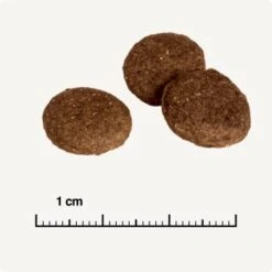 REAL NATURE Country Selection Andalusia Rind Mit Spanischem Kaninchen 12 Kg -ROYAL CANIN Verkaufsgeschäft 0a7fce7b39ad9a46e9b5bd24525cc5f14df99cb4 1325173 de DE 6