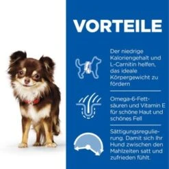 Hill's Science Plan Small & Miniature Light Adult 1+, Huhn 1,5 Kg -ROYAL CANIN Verkaufsgeschäft 0ad20a701951844a1c2fc190e42b91d454dc7645 52742024745 4