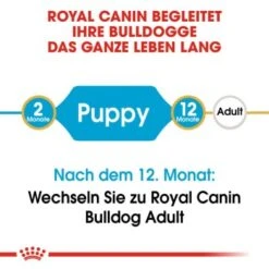ROYAL CANIN Verkaufsgeschäft 7 ROYAL CANIN Verkaufsgeschäft -ROYAL CANIN Verkaufsgeschäft 0bcdb1ba49d9da12dd128fa2c017e40c324dece1 edb3bf48634b5a831a08c7005b9723cb131dc451