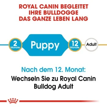 ROYAL CANIN Bulldog Puppy 12 Kg 4 ROYAL CANIN Bulldog Puppy 12 Kg – Bild 2