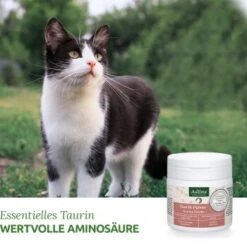 Aniforte Taurin 100g -ROYAL CANIN Verkaufsgeschäft 0bea68d016a7aabae30732000f396c44a019efd7 1472617 de DE b3dae817e7a2eb80d599635916b5cd68212f13aaKMDIbR