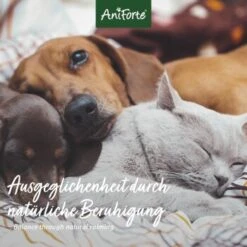 Aniforte Bachblüten Wohlfühl -ROYAL CANIN Verkaufsgeschäft 0cd967852dfdee41ec01be7a685b667875afe26e 1480464 de DE 560f89e516cd19f6fa4c035a9f065c2ddb1ab7432PWc6B