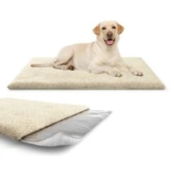 Knuffelwuff Kälteabweisende Und Wärmeisolierende Thermodecke Beige L -ROYAL CANIN Verkaufsgeschäft 0d048450d3677bbe66ac815d46c1573d77ebc64b 1411793 de DE 26a54309e701e992732d9c1d25392889d55befc3ZZNFAK