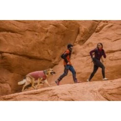 Ruffwear Hemp Hound™ Sweater Rosso M -ROYAL CANIN Verkaufsgeschäft 0f007e043307b4af121eddda3cbc9166357cc781 1639886 de DE 9d517e653a6756aea5aff487f1d4367033c9f0eco8wkkb