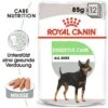 ROYAL CANIN Digestive Care Adult Pouch 12x85g -ROYAL CANIN Verkaufsgeschäft 0f87f2eedeb1b29f3b1221b783464f02f60cf8ed f260f1bb7c3ad9c098d155b84cdd447ad8743da6