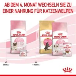 ROYAL CANIN Mother & Babycat 2 Kg -ROYAL CANIN Verkaufsgeschäft 0fe8497acfc1380792b3bad8590087c6f2d67d34 3182550707329 6