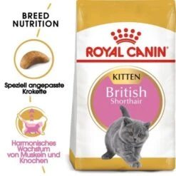 ROYAL CANIN British Shorthair Kitten 2 Kg 10 ROYAL CANIN British Shorthair Kitten 2 Kg -ROYAL CANIN Verkaufsgeschäft 0fff472392b46f0b36f49ed85401c9bcf7c8857b 1081846 de DE rcbk2