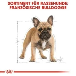 ROYAL CANIN Französische Bulldogge Adult 9 Kg -ROYAL CANIN Verkaufsgeschäft 1103d82fc7346a11a9ee81a9ab4bdcb41136307d 6122fbb549b8e1d90a8dc5cfef9eb2854b87768f