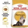 ROYAL CANIN Persian Adult 10 Kg -ROYAL CANIN Verkaufsgeschäft 1221e5a04c58484de65ebb4b05975d5cc78faafe 1003120004 de DE main
