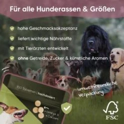 Pawlie's Gelenk Fit Tabletten Hund (100 Stück) 9 Pawlie's Gelenk Fit Tabletten Hund (100 Stück) -ROYAL CANIN Verkaufsgeschäft 13c2aa37a08da916b1cd8014d264ba1cb5e12204 1626201 de DE 016987b286bf5101f5ed2a1610825cada7f4cd39esKrs5