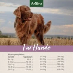 Aniforte Trockenfutter FreelandDuck - Leckere Ente Mit Hirse 2 Kg -ROYAL CANIN Verkaufsgeschäft 13c4246af2b76223ac75656860854c45cebaac4d 1662324 de DE f7a0afc6f60115f9fb5ca44db2877680dcfe8a13QvN4un