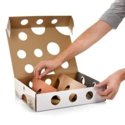 Canadian Cat Company Katzenspielzeug MagicBox -ROYAL CANIN Verkaufsgeschäft 142300badb79cca7ad6d02f165f6adb72822700a 1361887 de DE 0a0d8e236e46b38b19bc65d2f7a8b14b65d84da00feNa3