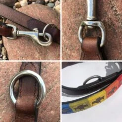 Kipita Polo Hundeleine Rainbow -ROYAL CANIN Verkaufsgeschäft 14e2e77e8ff1a11dc53c388fecc85e1a7e99e4dc 1410921 de DE 73f481f5ca5c399a36695f1910034ac27f4032a2KwFSvn