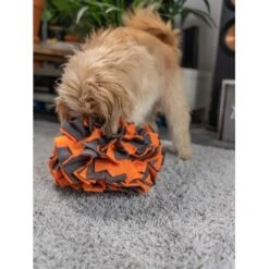 TrendPet Schnüffelball Orange -ROYAL CANIN Verkaufsgeschäft 150c7485ceb45f446eae94d286af034396b6b839 1347789 de DE 0d959a3cb36067968769c2d102a66fcc1f59a724hVebVb