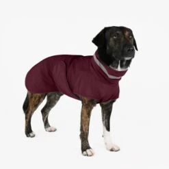 THE DOG IDEA Regenmantel Kayden Bordeaux XXXS -ROYAL CANIN Verkaufsgeschäft 15199a1306a3ace800e507518b9566b7fa68dccf 1681344 de DE 94a97a0c60e07ef5f6aadab2583dc6e8415511e0pXx3H5