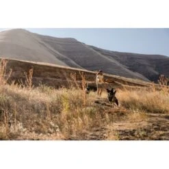 Ruffwear Hover Craft™ Spielzeug Orange -ROYAL CANIN Verkaufsgeschäft 15670c7f824cb67257971dca32974b68eba14a2f 1364297 de DE f53c4ca5615bcabb9ccbd712339b8f568f29402frPrk2m