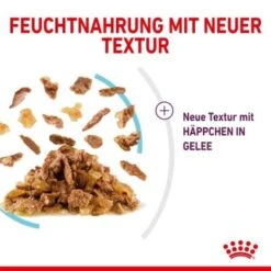 ROYAL CANIN SENSORY Feel In Gelee Für Wählerische Katzen 12x85g -ROYAL CANIN Verkaufsgeschäft 15b7f43bf7d21e68f6a5f585ba869435e3d81722 19a1526453e48e05c977a1660234eaf969ffc1a7