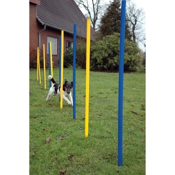 Dobar DOBA 12-teiliges Slalomset, Agility 4 Dobar DOBA 12-teiliges Slalomset, Agility – Bild 2