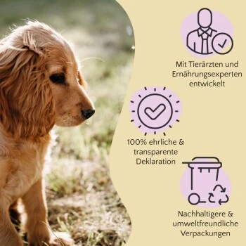 FAVLY Petfood Premium Naturkauartikel Kaninchenohren Mit Fell 360 G 5 FAVLY Petfood Premium Naturkauartikel Kaninchenohren Mit Fell 360 G – Bild 3